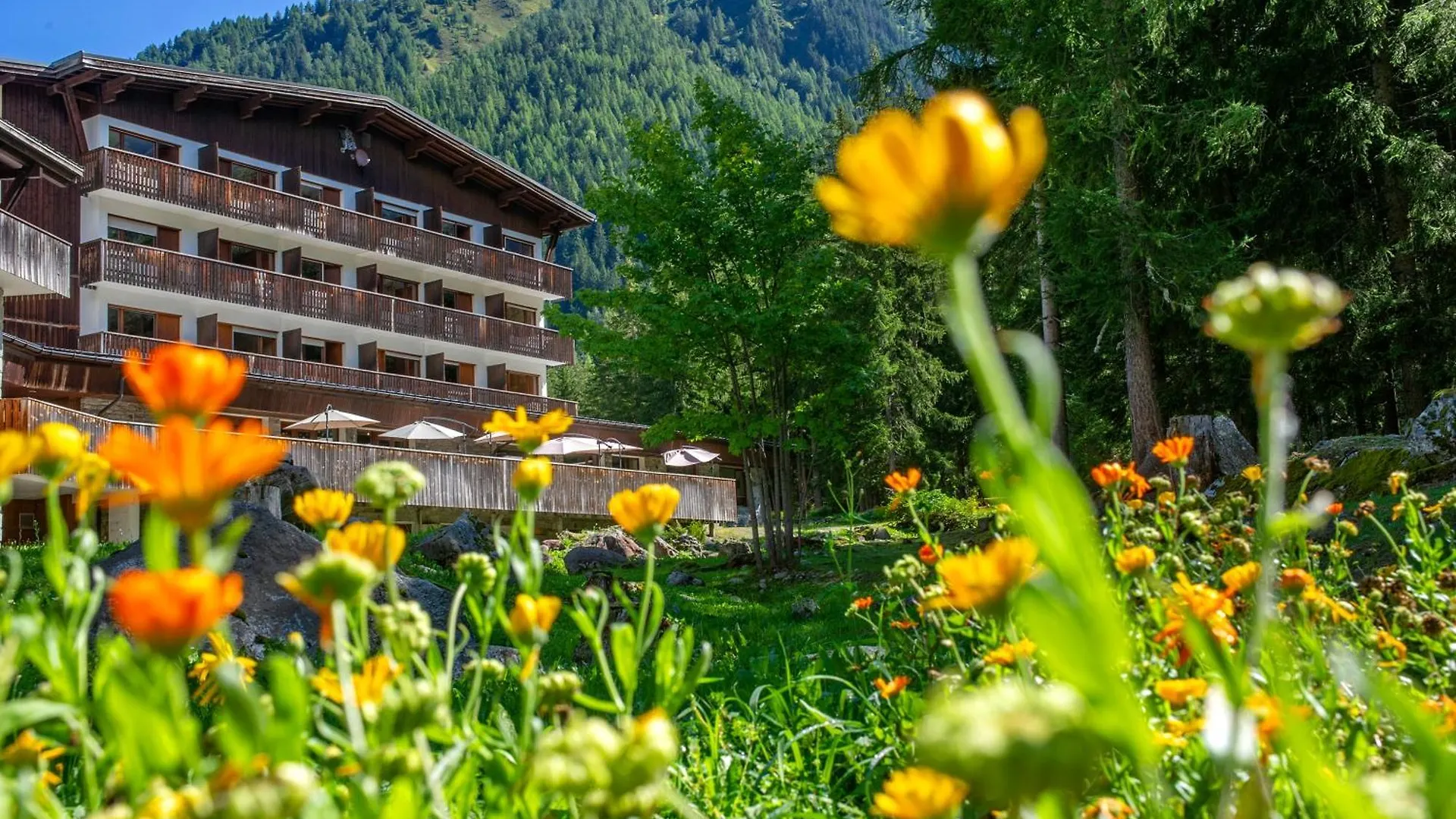 Апарт-отель Chalet Atc Routes Du Monde Argentiere-Шамони